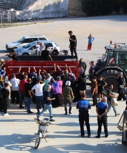 Amasya'da Genç Çiftçi 6 Ton Patatesi Ücretsiz Dağıttı