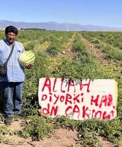 Hatay'da karpuz tarlasında hırsızlık nöbeti