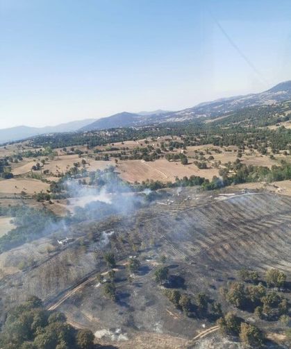 Bursa Büyükorhan'da Orman Yangını Alevler Kontrol Altında