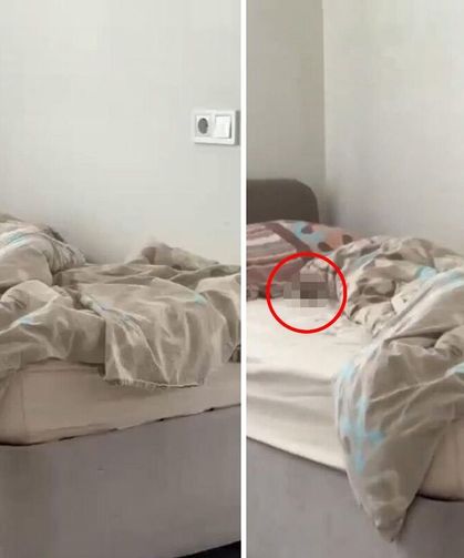 KYK yurdunda fare skandalı: Öğrenciler tepkili