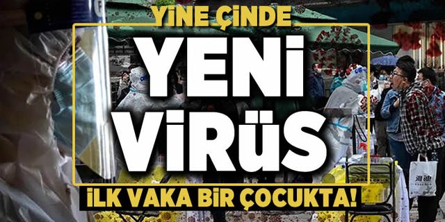 Şimdi de H3N8 alarmı... Çin'den resmi açıklama geldi!