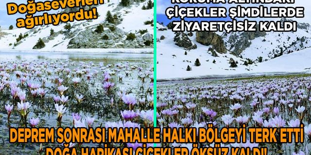 Kahramanmaraş’ta Nilüfer ve Kardelen çiçekleri öksüz kaldı