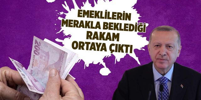Emeklilere yeni zam müjdesi: Erdoğan talimat, Bakan tarih verdi!