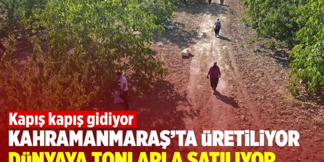 Kapış kapış gidiyor! Kahramanmaraş'ta üretiliyor, dünyaya tonlarla satılıyor