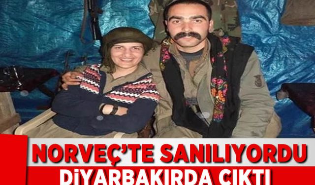 HDP'li Semra Güzel'in Norveç'e kaçtığı öne sürülmüştü! Emniyet açıkladı: Fotoğraf, Diyarbakır'da bir sanat galerisinde çekildi
