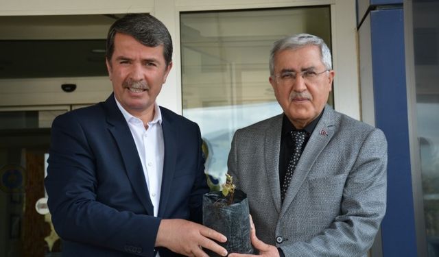 Üniversitemiz ve Türkoğlu Belediyesi İşbirliğiyle Bölge Tarımına Katkı Sağlayacak Labrusca Üzüm Yetiştiriciliği Çalışmalarına Başlandı