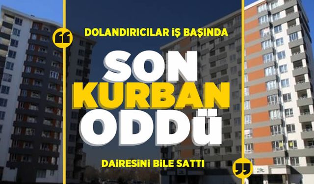 ODTÜ mezunu Aysun Mercan dolandırıcıların son kurbanı oldu: Kadıköy'deki dairesini bile sattı