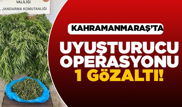 Kahramanmaraş'ta uyuşturucu operasyonu! 1 gözaltı!