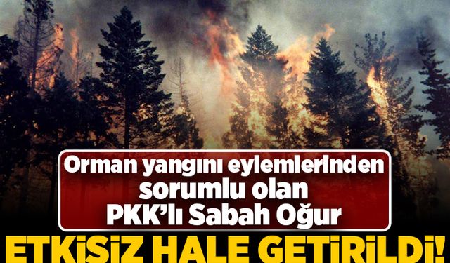 Orman yangını eylemlerinden sorumlu olan PKK'lı Sabah Oğur etkisiz hale getirildi!