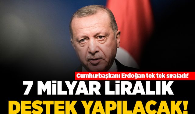 Cumhurbaşkanı Erdoğan tek tek sıraladı! 7 milyar liralık destek yapılacak!