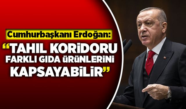 Cumhurbaşkanı Erdoğan: "Tahıl koridoru farklı gıda ürünlerini kapsayabilir"