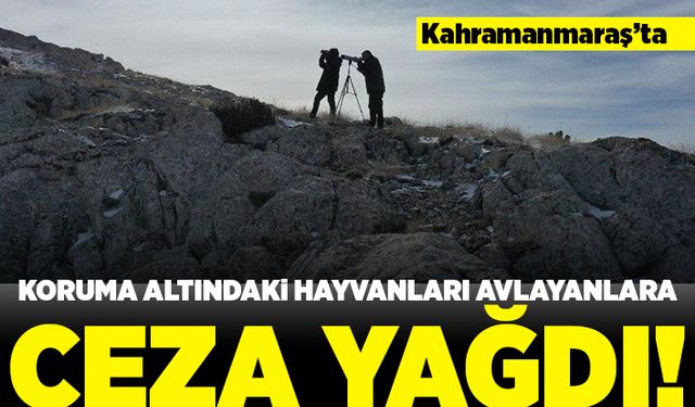 Kahramanmaraş'ta Koruma altındaki hayvanları avlayanlara ceza yağdı!