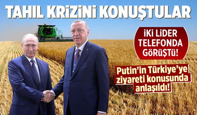 Cumhurbaşkanı Erdoğan ve Putin, dünya açlığını önlemek için el ele