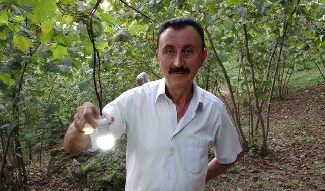 Verim Arttıran Akıllı Sistem: Ordu'da Fındık Üreticisi Domuzları Uzak Tutuyor