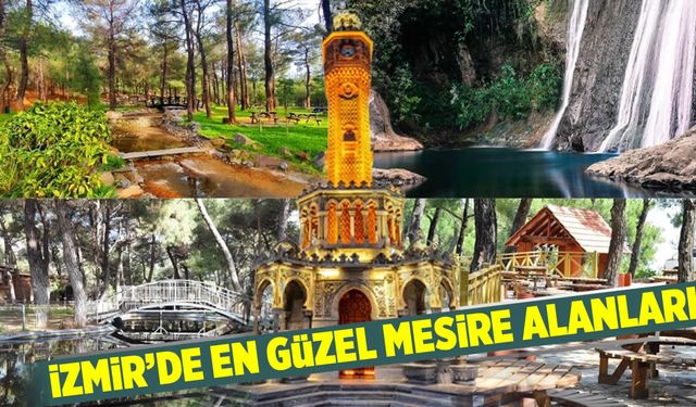 İzmir'de doğayla baş başa: En güzel mesire alanları rehberi