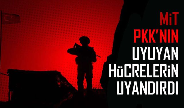 MİT ve Emniyet işbirliğiyle PKK/YPG hücre yapısına darbe vuruldu