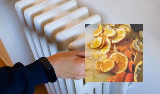 Fiyakalı ısınma: Limon, portakal ve mandalina kabuklarıyla evinizin sıcaklığını yükseltin!