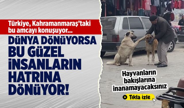 Kahramanmaraş'ta sokak köpekleriyle konuşan' yaşlı vatandaşın neşe dolu anları!