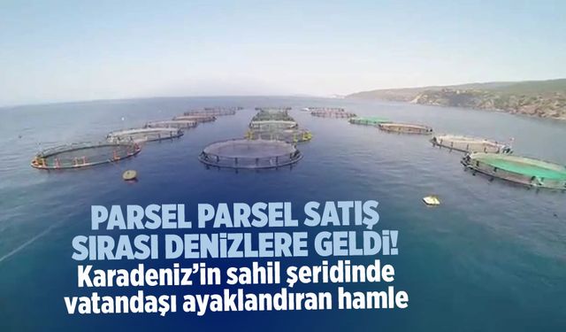 Endişe Verici Gelişme: Karadeniz'de Deniz Alanları Satışa Çıkarıldı!