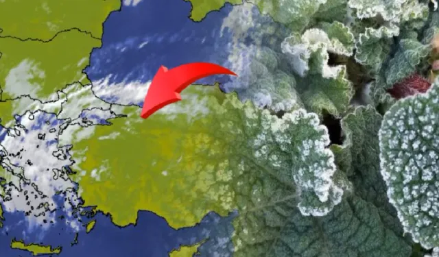 7 İlde Zirai Don Tehlikesi! Yetkililerden Çiftçilere Çağrı!