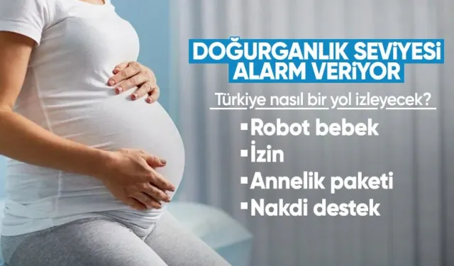 Nakdi destek, kesintisiz maaş... Doğuma teşvik için hepsi mercek altında! Doğurganlıkta 'Türkiye' uyarlaması