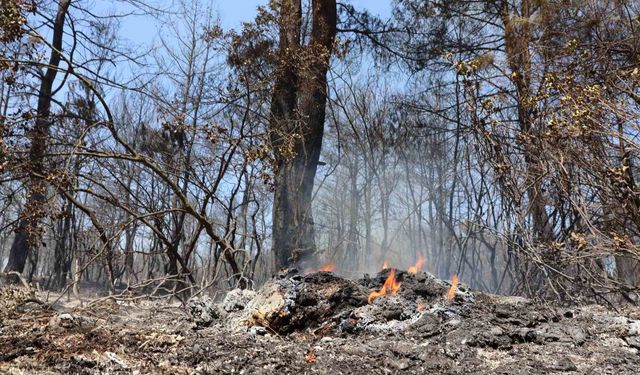 İzmir'de Buca ve Gaziemir'i Vuran Yangın 22 Saatte Kontrol Altına Alındı