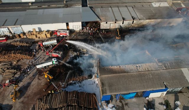 Bursa'da Kereste Fabrikasında Yangın: İş Yerlerine Sıçradı