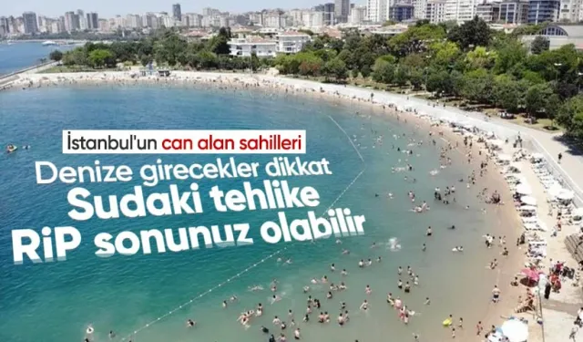 İstanbul’un ölüm sahilleri! Denize girecek vatandaşlar dikkat: Sudaki büyük tehlike