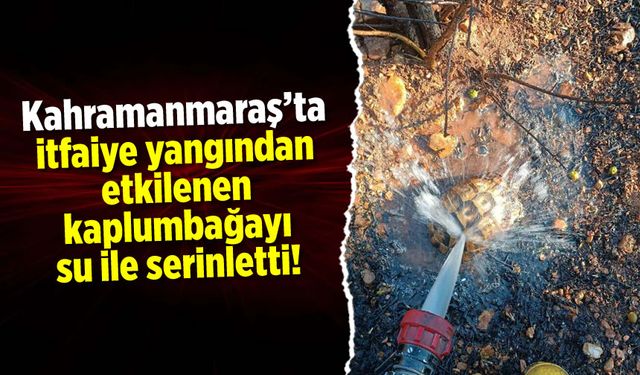 Kahramanmaraş'ta itfaiye yangından etkilenen kaplumbağayı su ile serinletti