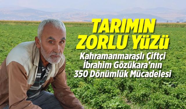 Tarımın Zorlu Yüzü: Kahramanmaraşlı Çiftçi İbrahim Gözükara'nın 350 Dönümlük Mücadelesi