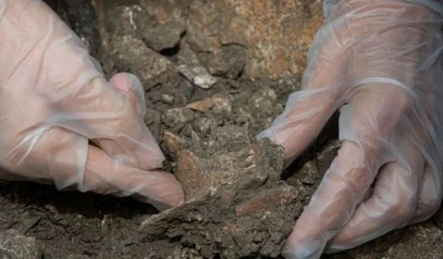 Fransa'nın Rhône Vadisi'nde Neandertal kalıntıları bulundu!