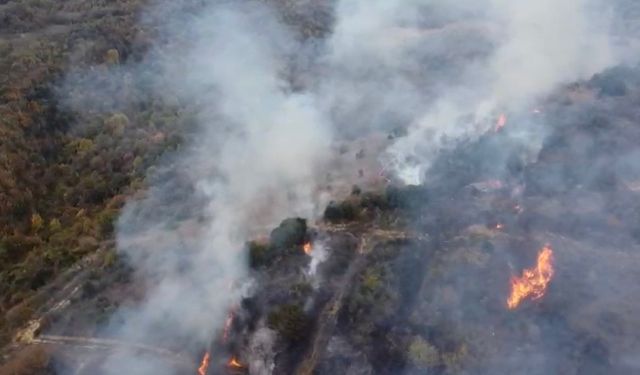 Çanakkale'nin Biga İlçesinde Çıkan Yangına Havadan ve Karadan Müdahale