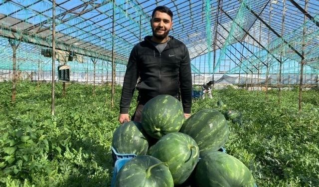 Antalya'nın İlk Hasadı Kahramanmaraş Sofralarında! Yola Çıktı