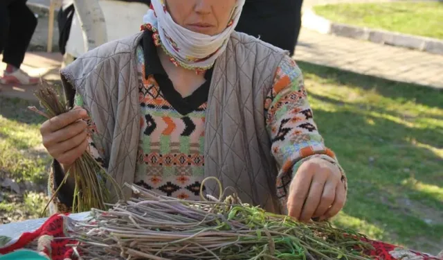Köylünün geçim kapısı olan mucize bitki: Demeti 100 TL'den satılıyor