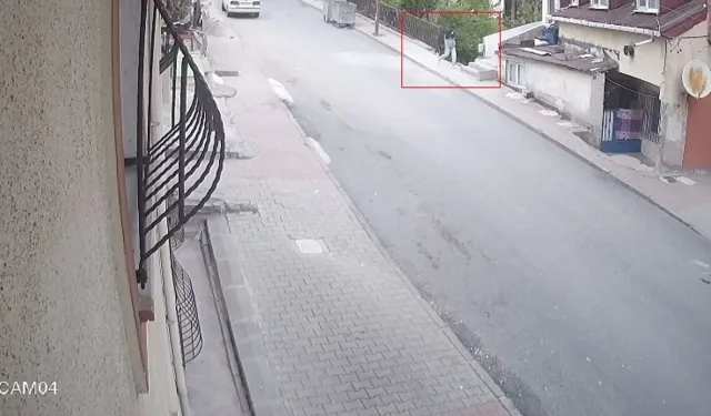 Beğendiği ayakkabıyı unutamadı, bakın ne yaptı