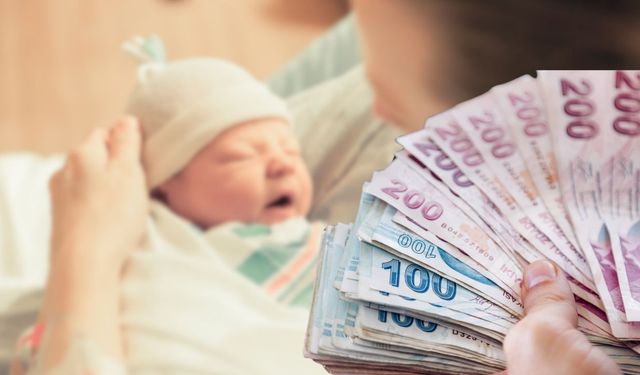 Kahramanmaraşlı Anneler Dikkat! Doğum Destek Ödemeleri İçin Kritik Duyuru!