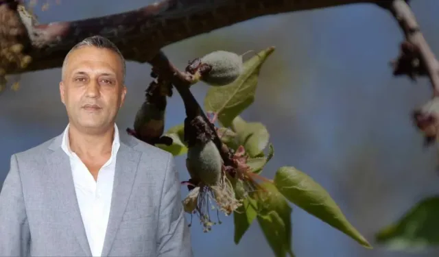 Kahramanmaraşlı Çiftçiler Zorlu Süreçte: Acil Destek Çağrısı Yapıldı
