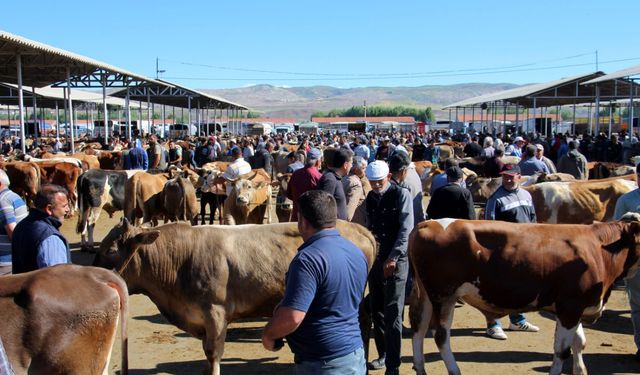 Kahramanmaraş'ta 2025 Kurbanlık Canlı Hayvan Fiyatları Belirlendi