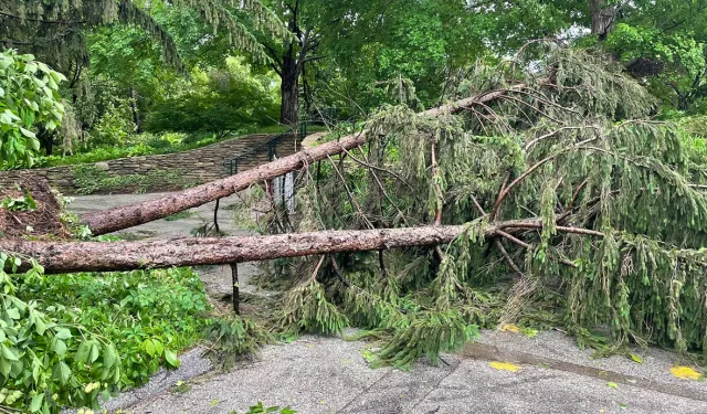 Missouri'de Kabus Gecesi: Fırtına Hayatları Kararttı, Şehir Enkaz Altında!