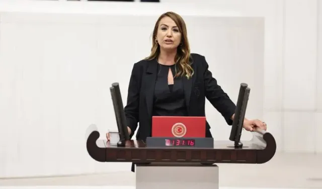 Nermin Yıldırım Kara hangi partiden? AK Partili mi CHP'li mi?