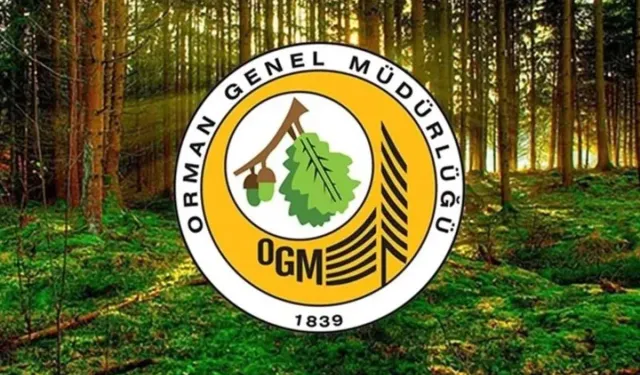OGM 3477 Personel Alımı: Sonuçlar Mayıs'ın Hangi Günü Açıklanacak?