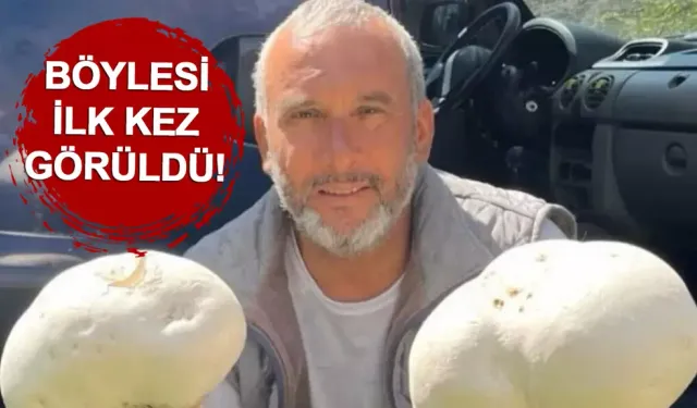 Yolda Buldu, Gözlerine İnanamadı! İşte O Dev Mantarın Ağırlığı