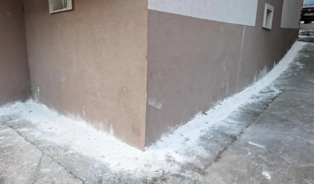 Mahalleyi böcekler bastı, vatandaşlar tedirgin oldu
