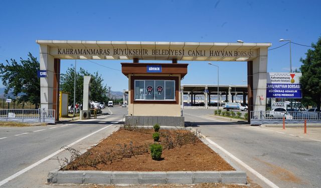 Kahramanmaraş’ta kurban öncesi Canlı Hayvan Borsası hazırlandı