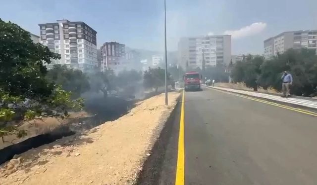 Kahramanmaraş'ta zeytin bahçesinde çıkan yangın söndürüldü