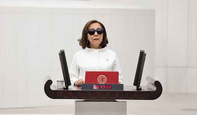 Parti değişiminin ardından önemli görev: Özbudun Anayasa Komisyonu Başkanı