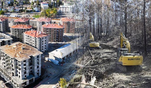 Çamlıbel Yangınına TOKİ ve EPP’den Örnek Destek: 50 İş Makinesiyle Seferber Oldular