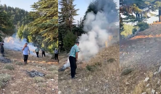 Kahramanmaraş’ta Şok Eden Görüntü: Ormanı Ateşe Verip Kaçtı!
