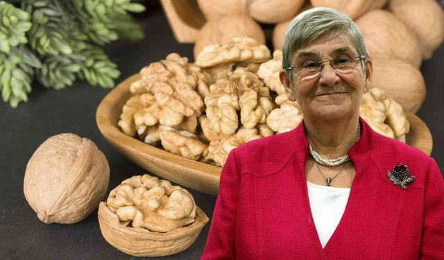 Maraş Cevizi sadece bir kuruyemiş değil! Karatay'a göre beynin en iyi yakıtı
