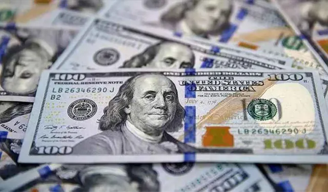 Dolar borcu olanlara kötü, yatırım yapanlara iyi haber